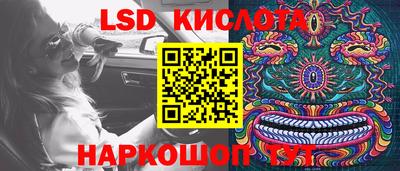 ПСИЛОЦИБИНОВЫЕ ГРИБЫ Тара