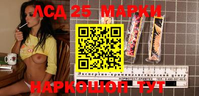гашик Тверь