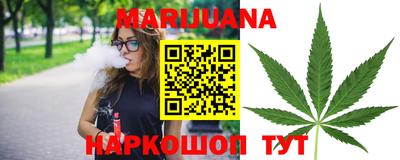 гашик Тверь