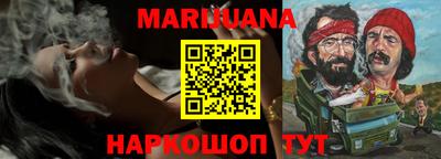 гашик Тверь