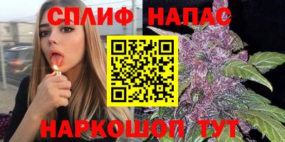 МДПВ Татарск