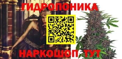 дмт Тула