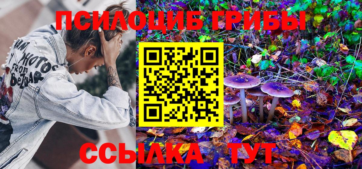 Псилоцибиновые грибы мухоморы Лыткарино
