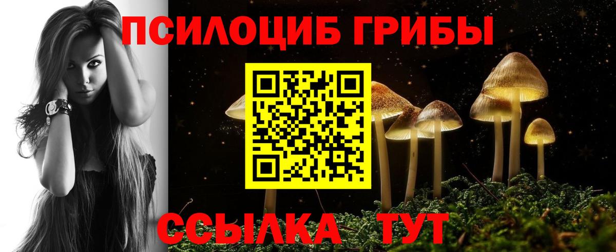 Галлюциногенные грибы Magic Shrooms  Вход с VPN  Лыткарино 